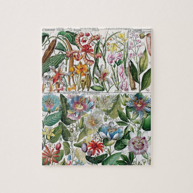 Vintage Blume Rosa Natur Einzigartiger Spaß Kunst (Vertikal)