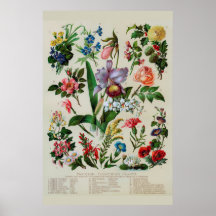 Vintage Blume Rustikale Flora