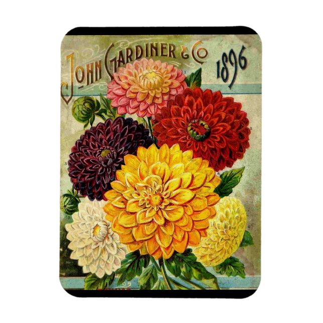 Vintage Blume Saatpackung - Flexi-Magnet Magnet (Vertikal)