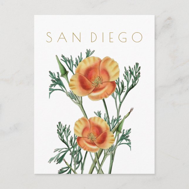 Vintage Blume San Diego Staat Postkarte (Vorderseite)