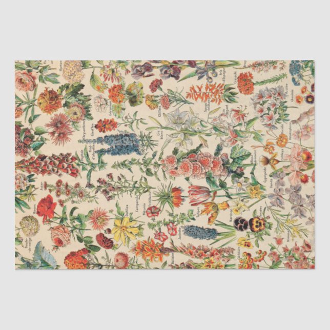 Vintage Blume Seidenpapier (Vorderseite)