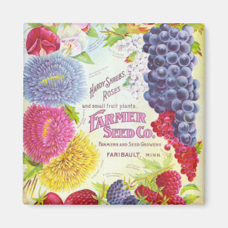 Vintage Blume und Fruchtmagnet Magnet