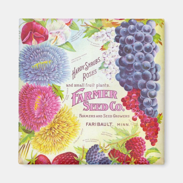 Vintage Blume und Fruchtmagnet Magnet (Vorne)