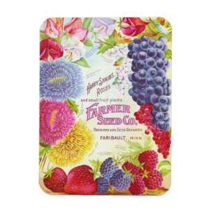 Vintage Blume und Obst Magnet