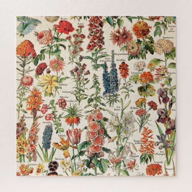 Vintage Blume von Adolphe Millot (Vertikal)