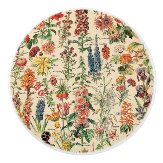 Vintage Blume von Adolphe Millot Keramikknauf (Vorderseite)