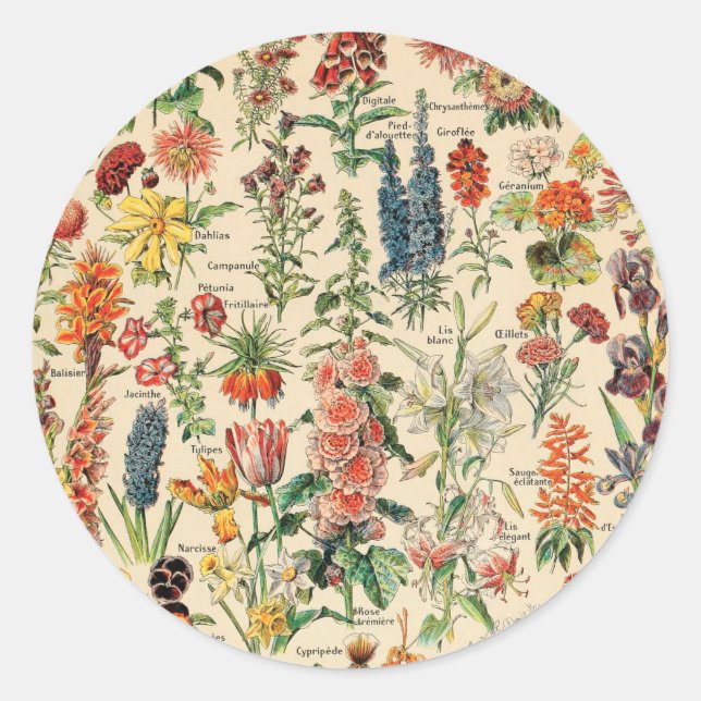 Vintage Blume von Adolphe Millot Runder Aufkleber (Vorderseite)