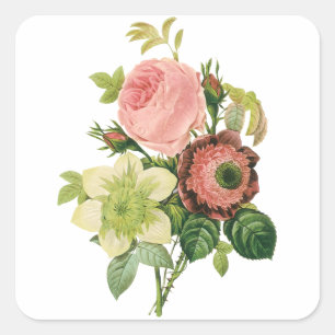 Vintage Blumen, Anemonen Rosen Clematis von Redout Quadratischer Aufkleber
