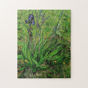 Vintage-Blumen, Iris von Vincent van Gogh