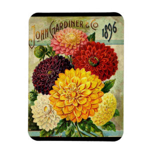 Vintage-Blumen-Samenpaket - Flexi-Magnet Magnet