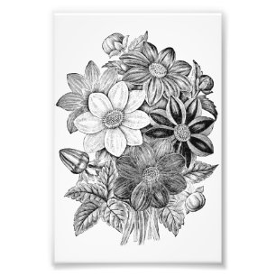 Vintage Blumen-Schwarz-weißer Druck