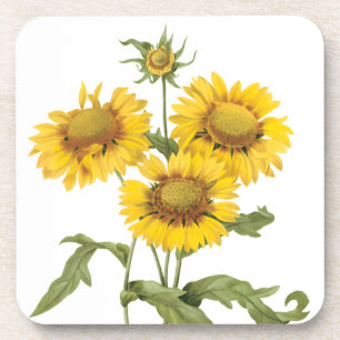 Vintage-Blumen-Teppichblume-Sonnenblume von Redout Untersetzer
