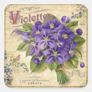 Vintage-Blumen-Veilchen eleganter Aufkleber