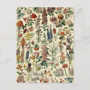 Vintage Blumen von Adolphe Millot Postkarte