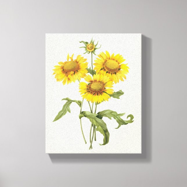 Vintage Blumenblanket Blume Sonnenblumen von Redou Leinwanddruck (Vorderseite)
