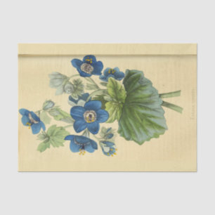 Vintage Blumenblumen Ephemera Decoupage Ti Seidenpapier