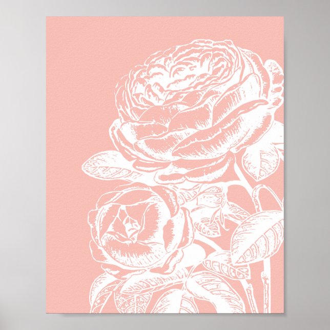 Vintage Blumendarstellung Rosa Rosa Botanisch Poster (Vorne)