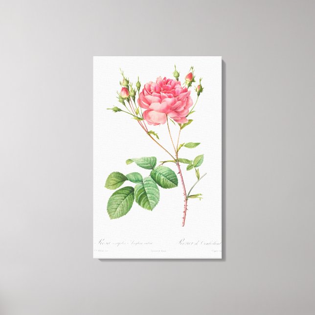 Vintage Blumenfreude: Rosa Leinwand Kunst (Vorderseite)