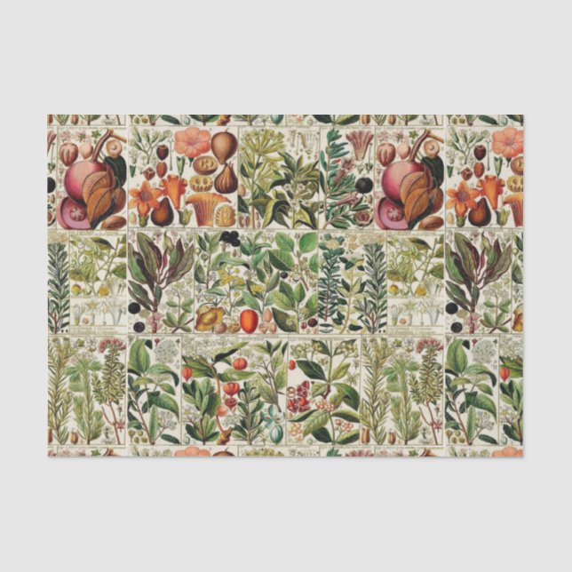 Vintage Blumensammlung #15 Seidenpapier (Vorderseite)