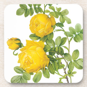 Vintage-Blumensträuße, gelbe Rosen von Redoute Getränkeuntersetzer