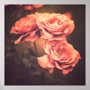 Vintage Blumenvintage, Blume, Rose, antike Villa Poster