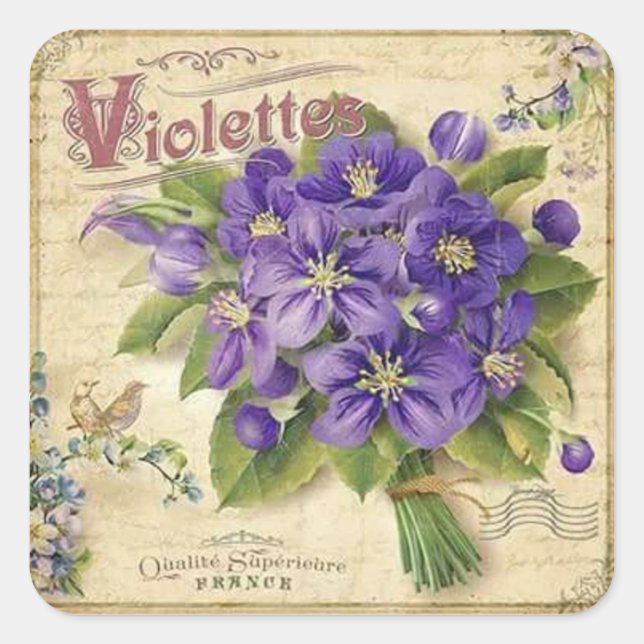 Vintage Blumenvioletten, eleganter Aufkleber (Vorderseite)