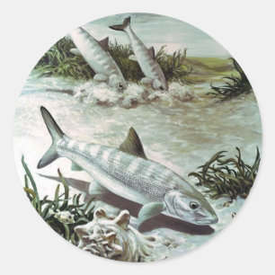Vintage Bonefish Underwater Scene Runder Aufkleber