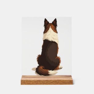 Vintage Border Collie von hinten Hund-Illustration Acrylschild