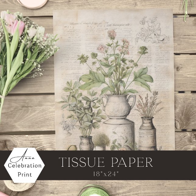 Vintage botanical herbs rustic parchment farmhouse seidenpapier (Von Creator hochgeladen)
