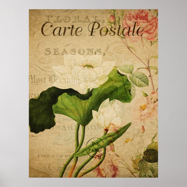 Vintage Botanical Poster - Lotus Flower (Vorne)