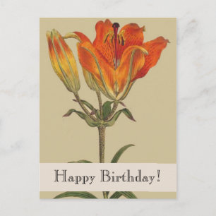Vintage Botanicals Lily Happy Birthday Postcard Postkarte