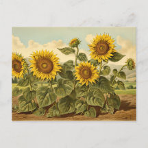 Vintage Botanicals Sonnenblumengarten