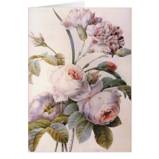 Vintage botanische Abbildung, rosa (Vorne)