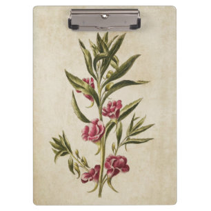 Vintage botanische Balsamblütendarstellung Klemmbrett
