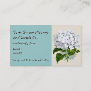 Vintage botanische Bilder von White Hydrangea Visitenkarte