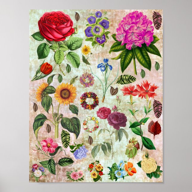 Vintage botanische Blume Illustrationen Naturkunst Poster (Vorne)