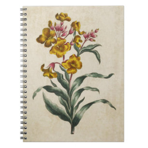 Vintage botanische Blume Notizblock