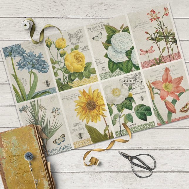 Vintage botanische Blume Seidenpapier (Von Creator hochgeladen)