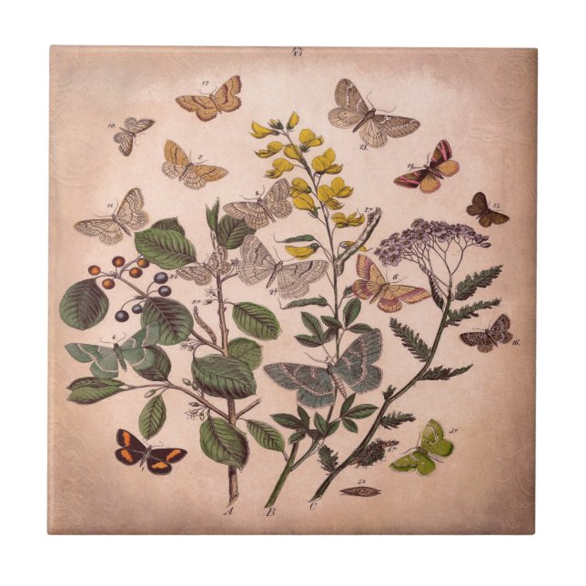 Vintage botanische Blumenillustrations-Wildblumen Fliese (Vorderseite)