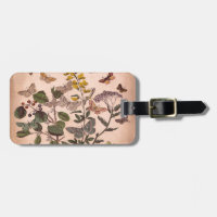 Vintage botanische Blumenillustrations-Wildblumen