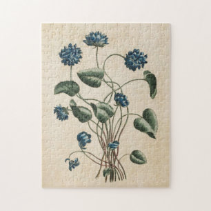 Vintage Botanische Blumenviolette