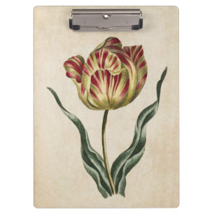 Vintage botanische Blütendarstellung Klemmbrett