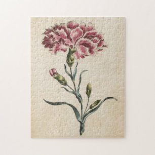 Vintage botanische Blütenkarnation