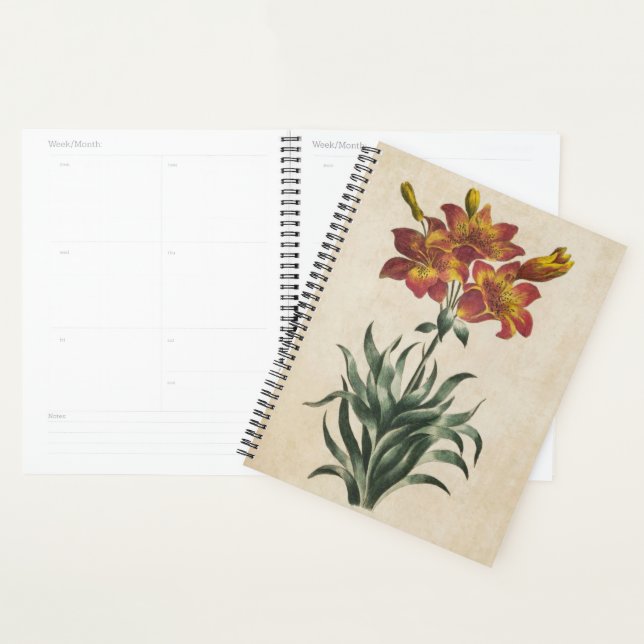 Vintage botanische Blütenlilie Planer (Anzeige)