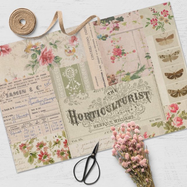 Vintage botanische Collage und Ephemera Seidenpapier (Von Creator hochgeladen)