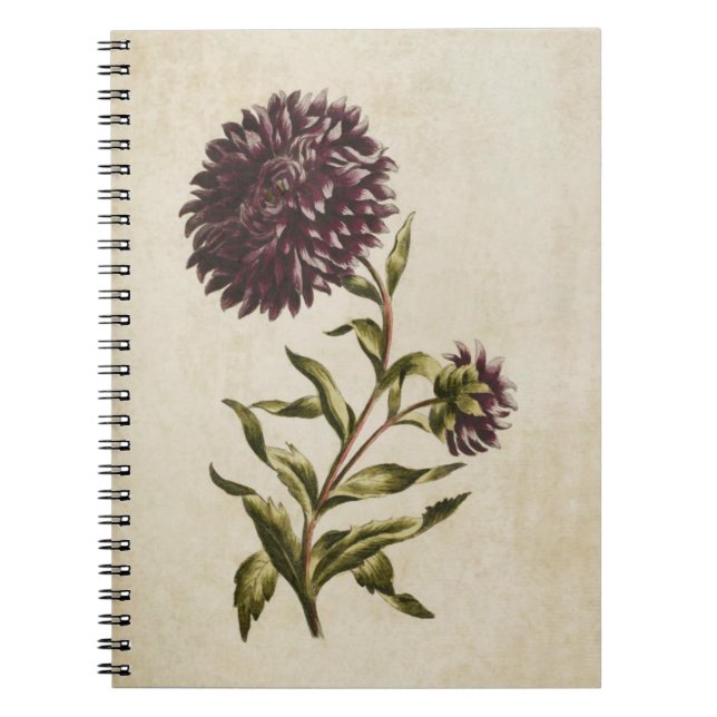 Vintage botanische Doppelaster-Illustration Notizblock (Vorderseite)