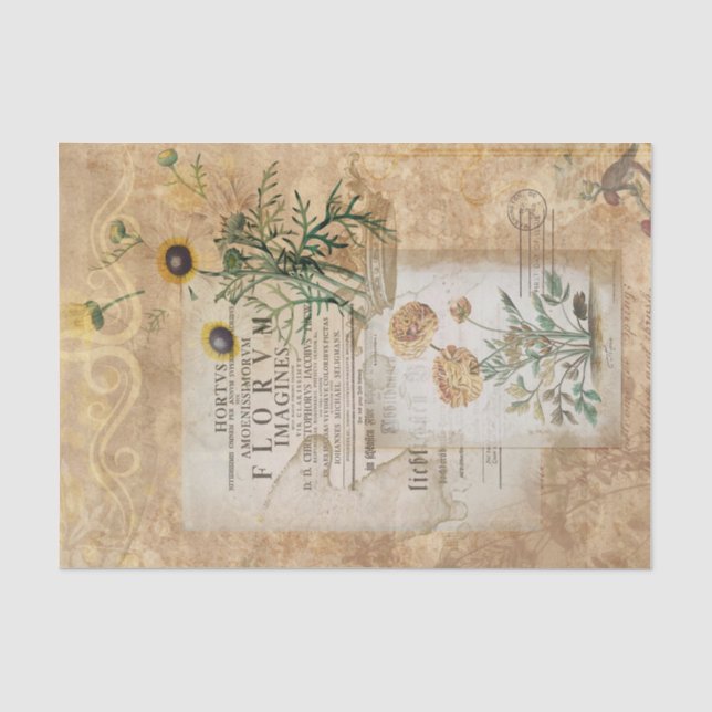 Vintage botanische Ephemera Seidenpapier (Vorderseite)