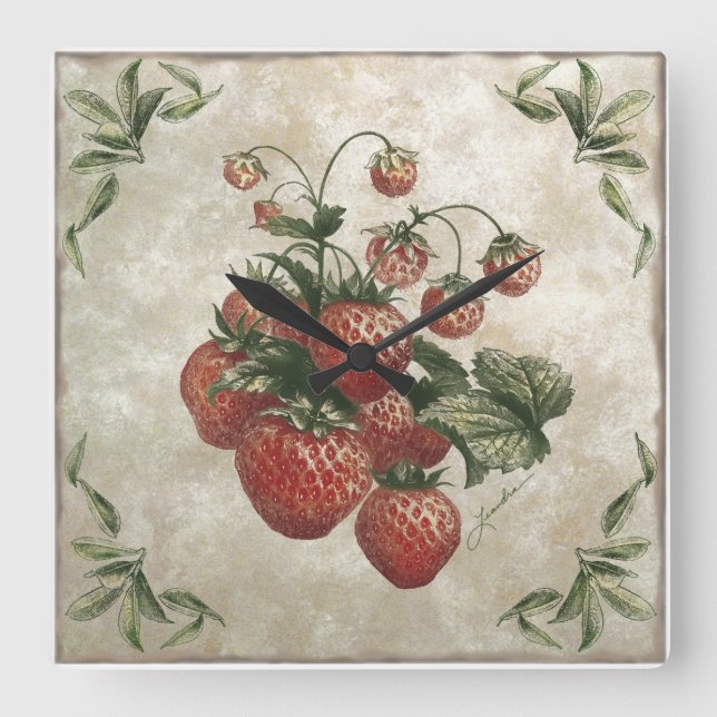 Vintage botanische Erdbeeren  Quadratische Wanduhr (Vorderseite)