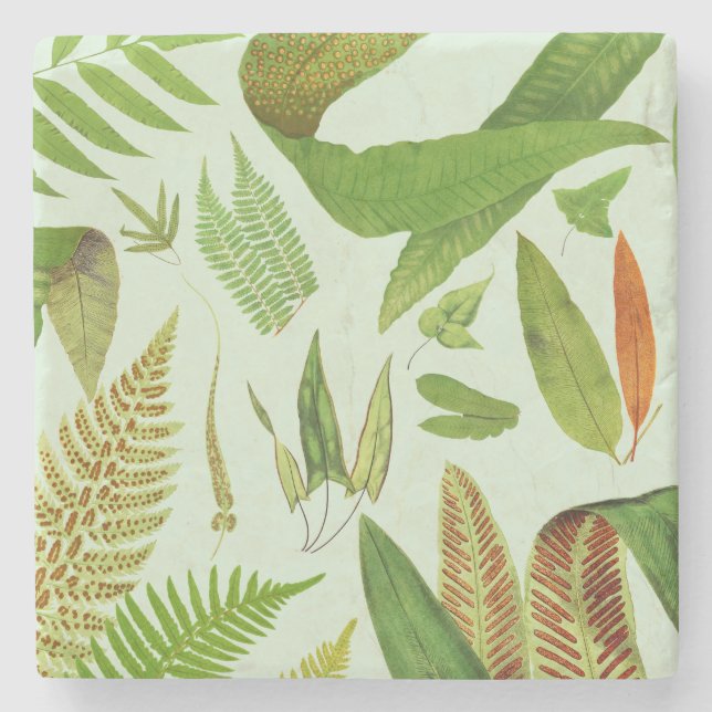 Vintage botanische Ferne Steinuntersetzer (Vorderseite)