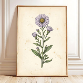 Vintage Botanische Galerie-Druck - Kunst für die I Poster